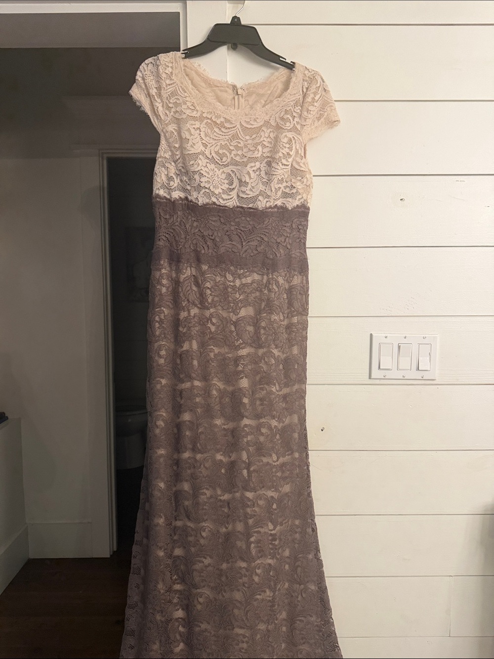 Adrianna Papell Blush and Taupe Lace Cap Sleeve dress